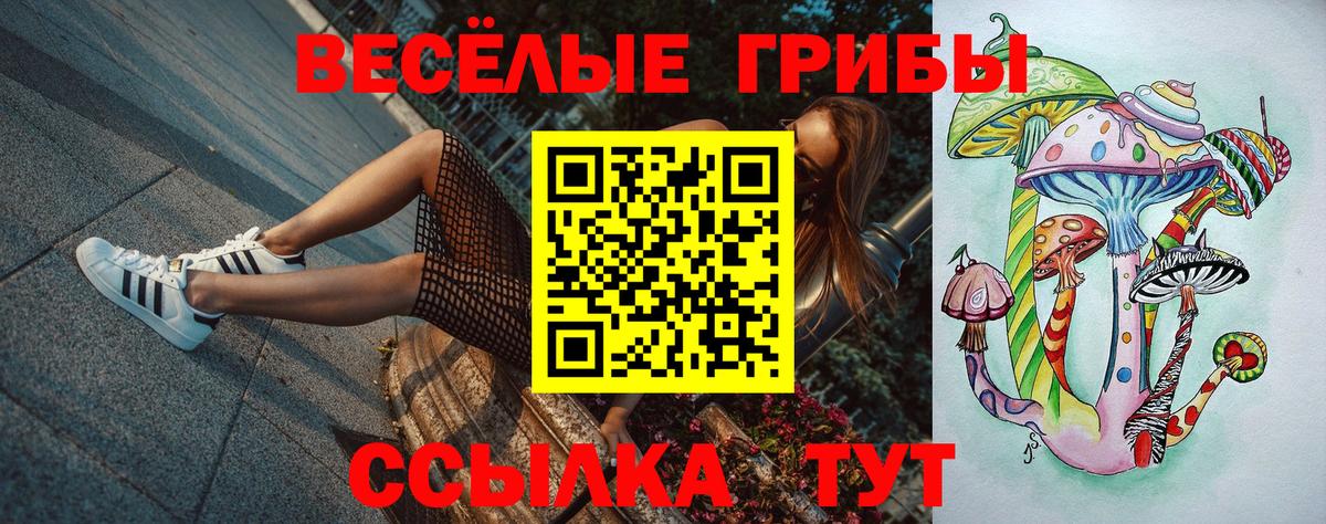 Псилоцибиновые грибы ЛСД Касимов