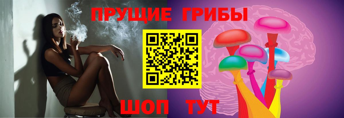 Касимов  Псилоцибиновые грибы Psilocybine cubensis  Вход с VPN  Псилоцибиновые грибы GOLDEN TEACHER 