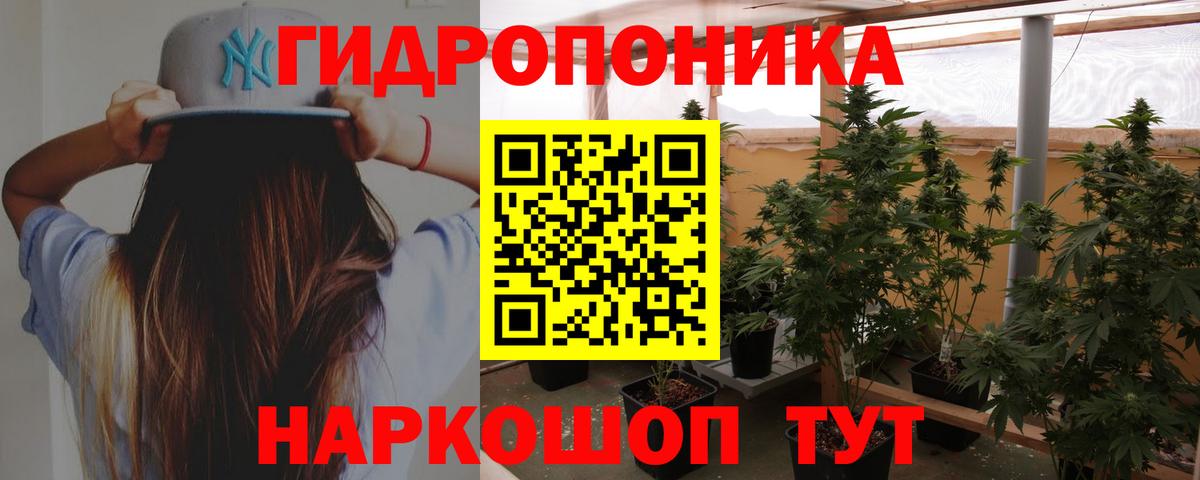 Конопля Bruce Banner  Конопля сатива  Касимов  Марихуана Ganja  Вход с VPN 